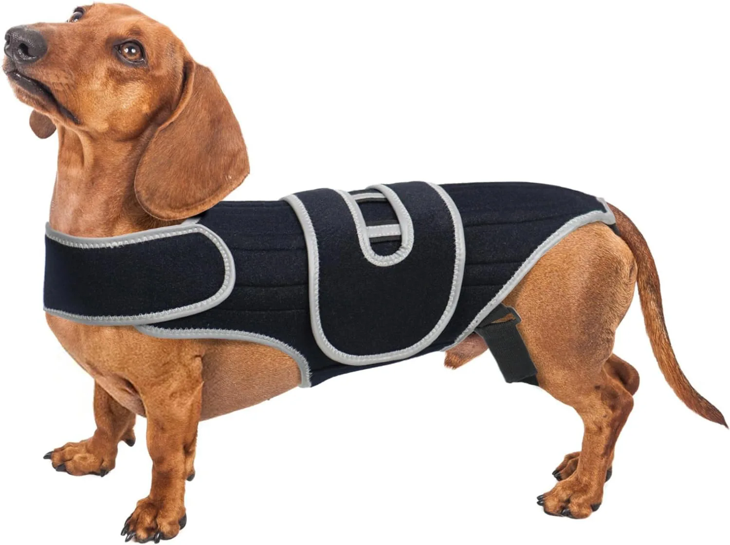 Pet Protective Gear for Dog Intervertebral Disc Injuries, Support Vest CNPC-SP-08 - Image 3