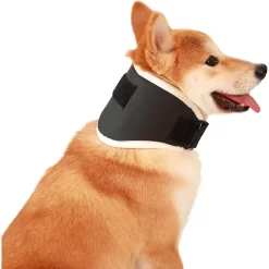 Pawsitive Recovery Adjustable Dog Neck Brace CNPC-SP-10