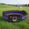 Dog Training Vibrator Necklace for Dogs Collar  CNPC-IE-01