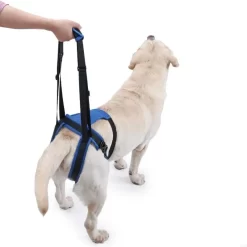 Alternative view of Dog Rehabilitation Aid Belt With Reinforced Fasteners CNPC-SP-14