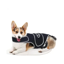 Alternative view of Pet Protective Gear for Dog Intervertebral Disc Injuries, Support Vest  CNPC-SP-08
