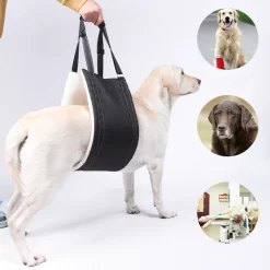 Alternative view of Dog Adjustable Assist Belt Portable for Soft Padded CNPC-SP-27
