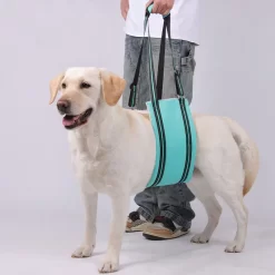 Dog Adjustable Assist Belt Portable for Soft Padded CNPC-SP-27