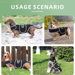 Pet Protective Gear for Dog Intervertebral Disc Injuries, Support Vest  CNPC-SP-08