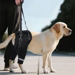 Alternative view of Legs Hip Support Dog Lift Harness Black Sturdy Handle CNPC-SP-02