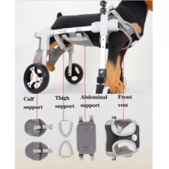 Alternative view of Small Dog Wheelchair Hind Limb  CNPC-SP-13