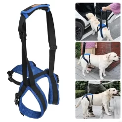 Dog Rehabilitation Aid Belt With Reinforced Fasteners CNPC-SP-14