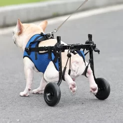 Alternative view of Pet Wheelchair Cart Adjustable Pet Mobility Aids with Wheels  CNPC-SP-07
