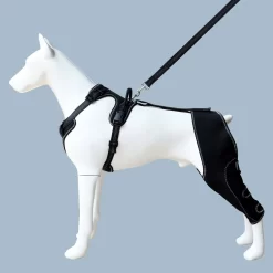 Dog Hip Brace Support for Knee Brace CNPC-SP-25