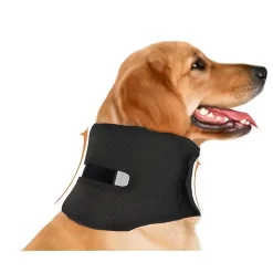 Anti-Lick Sprain Dog Neck Brace Pet Dog Collar CNPC-SP-26