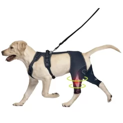 Alternative view of Dog Hip Brace Support for Knee Brace CNPC-SP-25