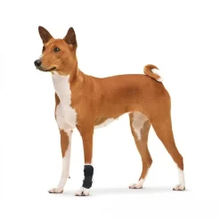 Alternative view of Knuckling Ankle Brace for Dogs  for Toe Dragging CNPC-SP-21