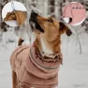 Waterproof High Collar Dog Down Jacket CNPC-C-07