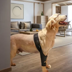 Old Dog Leg Brace Support in Fracture Physical Therapy CNPC-SP-22