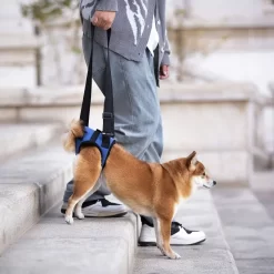 Alternative view of Dog Rear Leg Support Harness Supportor CNPC-SP-23