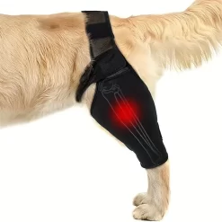 Alternative view of Old Dog Leg Brace Support in Fracture Physical Therapy CNPC-SP-22