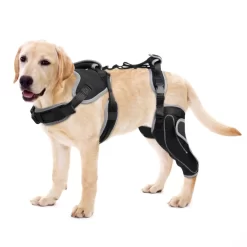 Pet Reduces Pain Hind Leg Brace Auxiliary Belt CNPC-SP-19
