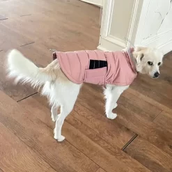 Alternative view of Waterproof High Collar Dog Down Jacket CNPC-C-07