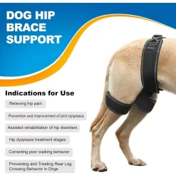 Alternative view of Dog Hip Orthotics Brace Support for Hip Dysplasia CNPC-SP-20