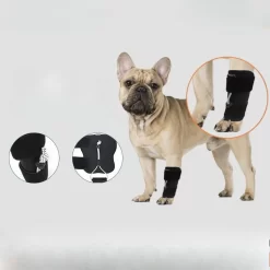 Knuckling Ankle Brace for Dogs  for Toe Dragging CNPC-SP-21