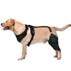 Alternative view of Pet Reduces Pain Hind Leg Brace Auxiliary Belt CNPC-SP-19